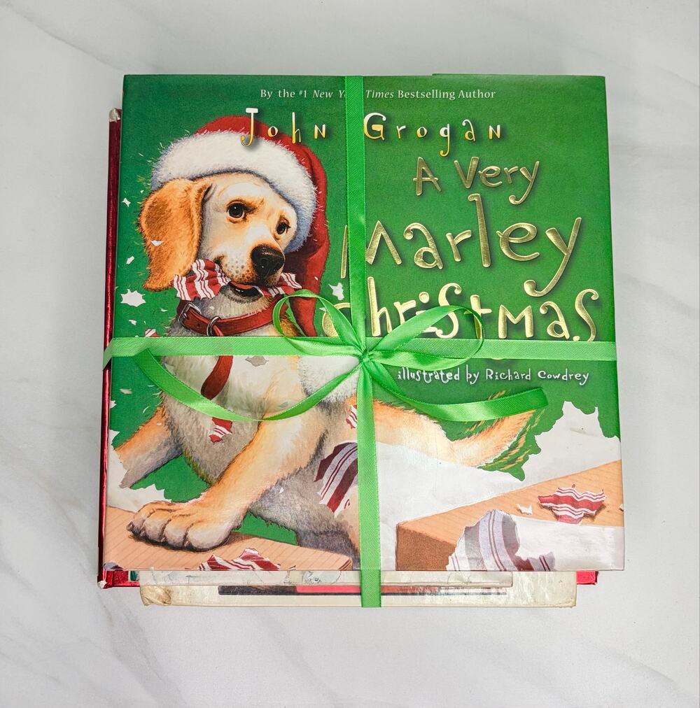 Vintage & Classic Children's Christmas Books Bundle  11 Scholastic Picture Books